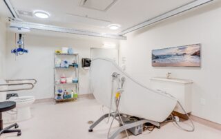 Mission Creek Landing, Kelowna - interior